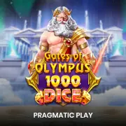 OLYMPUS X1000 DICE
